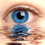 Eyelash