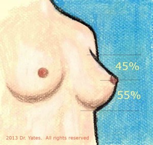 Natural-breast-art-300x284.jpg